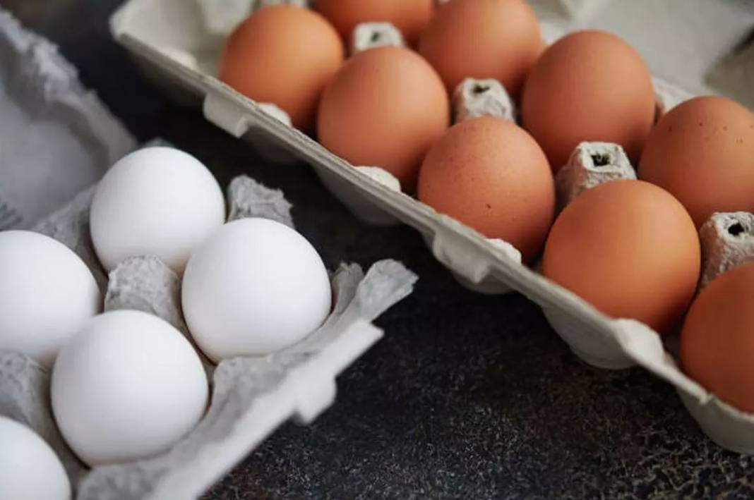 Beyaz mı kahverengi mi? Hangi yumurta daha sağlıklı? 6